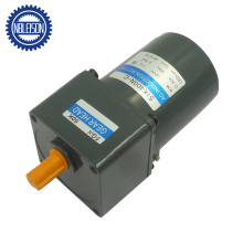 40W High Torque Mini Induction AC Gear Motor 220V